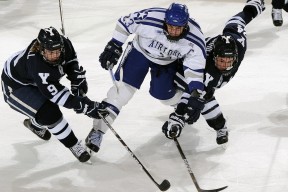 开云体育平台APP-迪巴拉爆发，加拿大火力压制苏格兰，足球世界的新兴力量正在改写版图